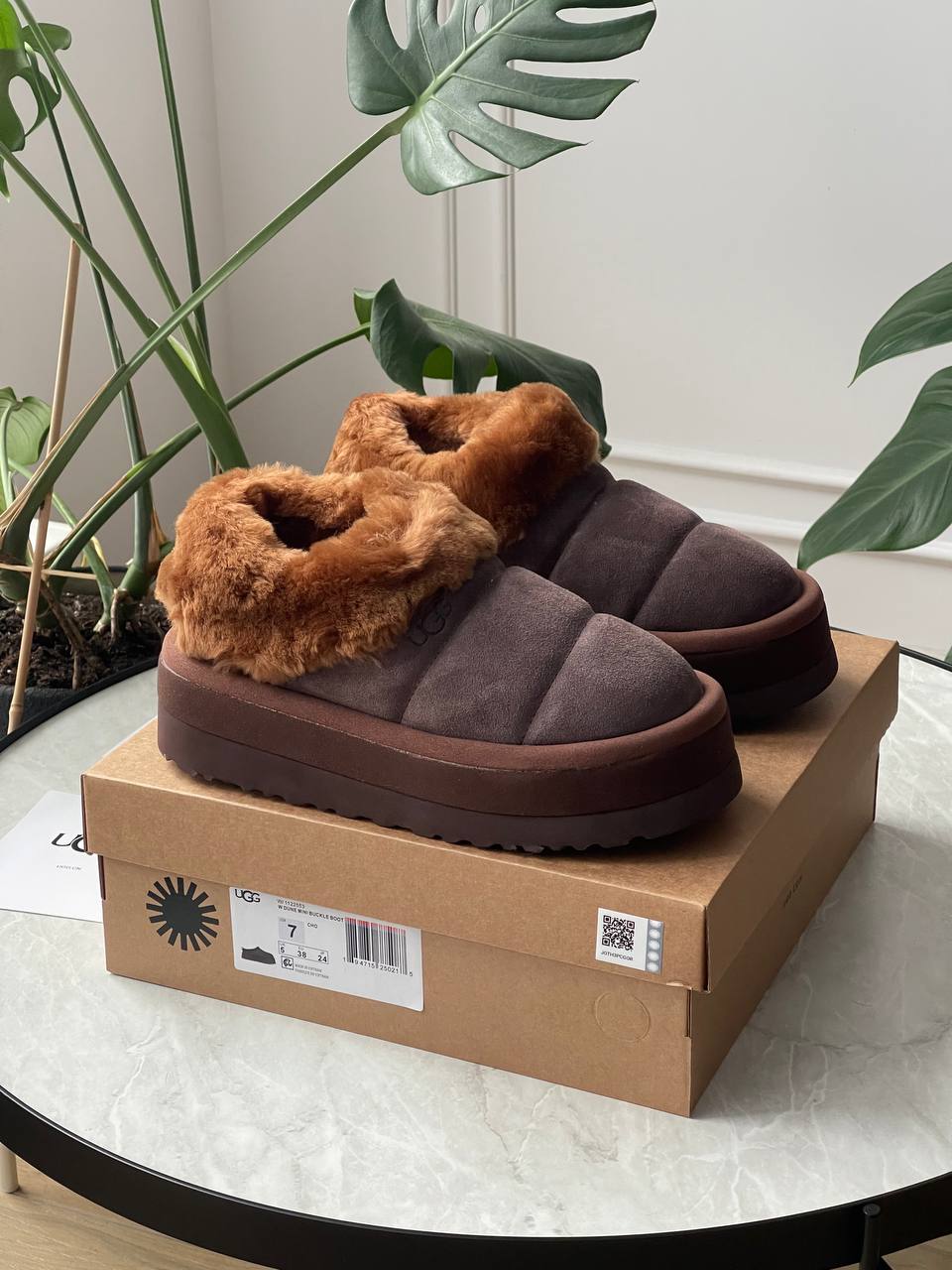 UGG Tazzlita Slipper Brown - oceanhype - 
