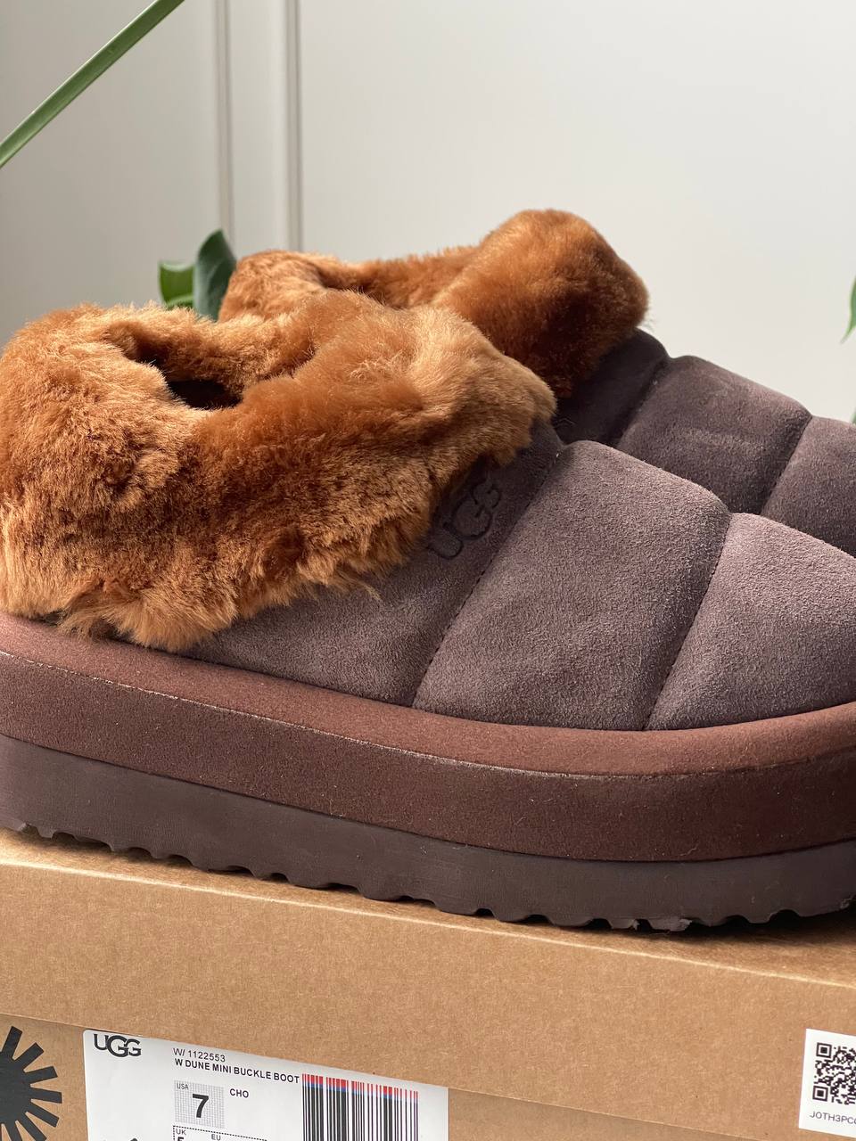 UGG Tazzlita Slipper Brown - oceanhype - 