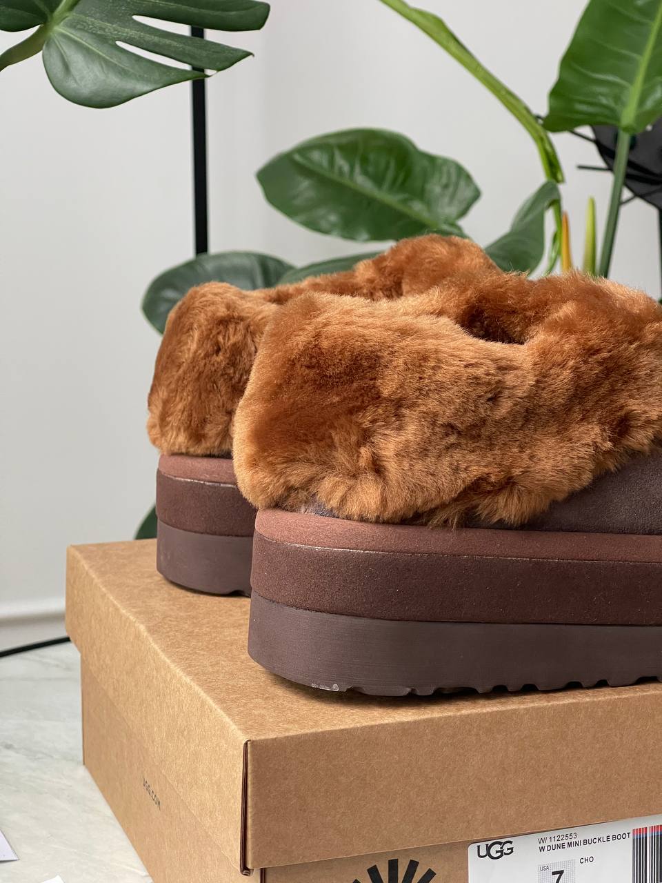 UGG Tazzlita Slipper Brown - oceanhype - 