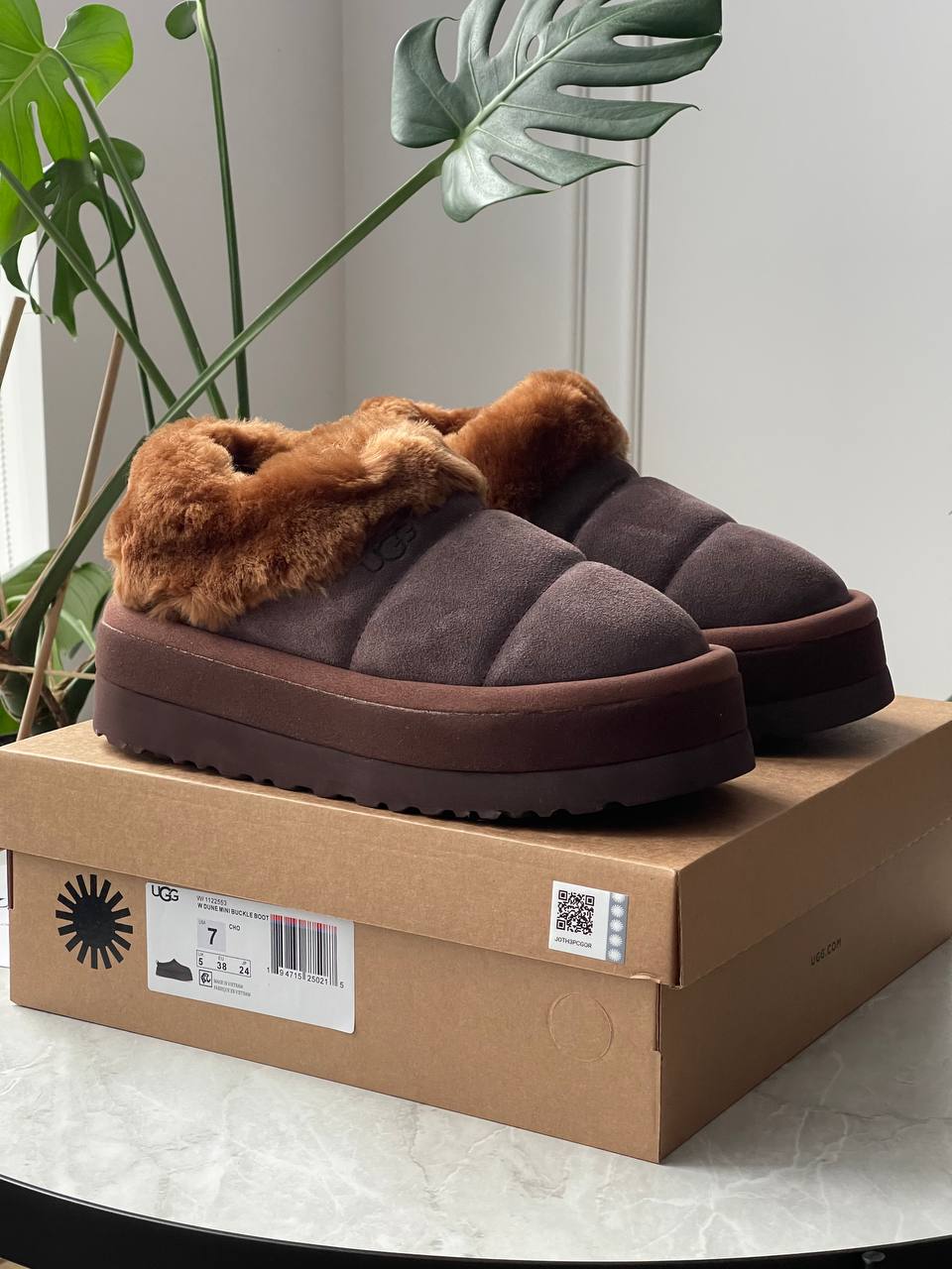 UGG Tazzlita Slipper Brown - oceanhype - 