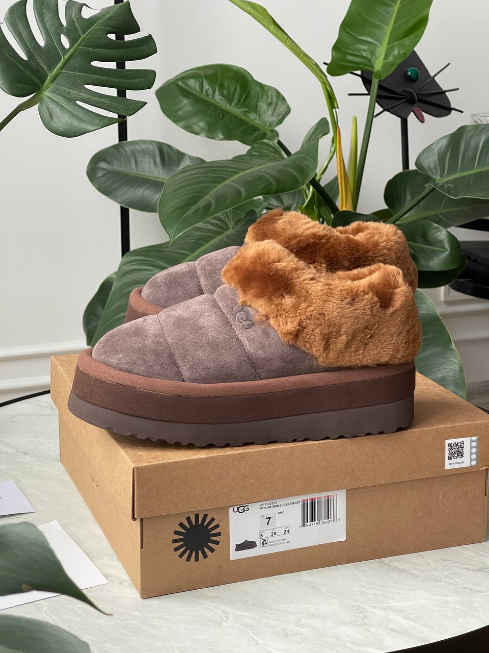 UGG Tazzlita Slipper Brown - oceanhype - 