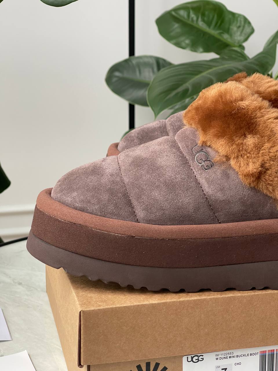 UGG Tazzlita Slipper Brown - oceanhype - 