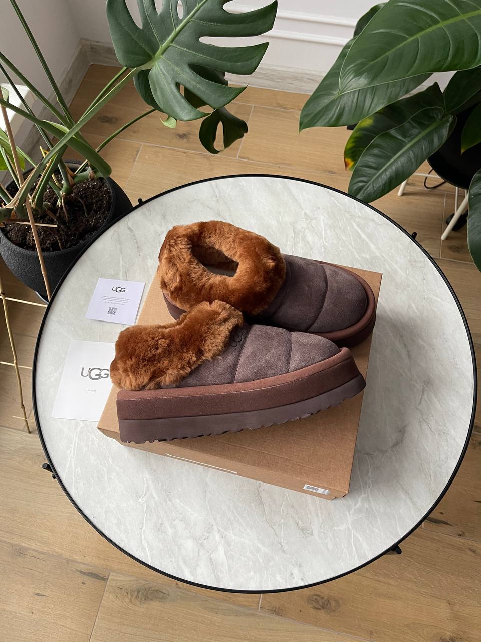 UGG Tazzlita Slipper Brown - oceanhype - 