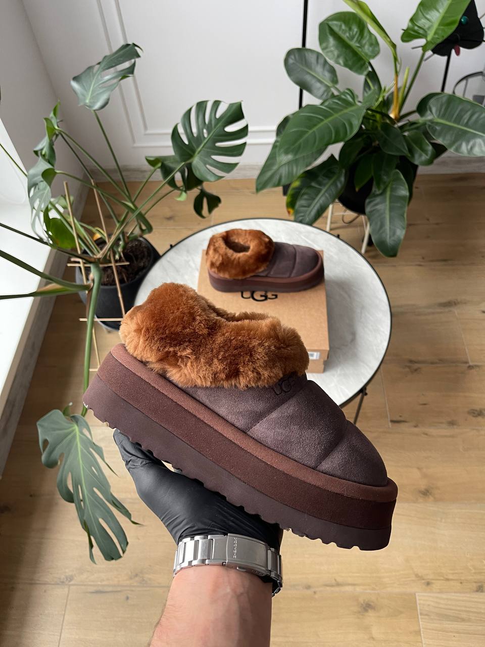 UGG Tazzlita Slipper Brown - oceanhype - 