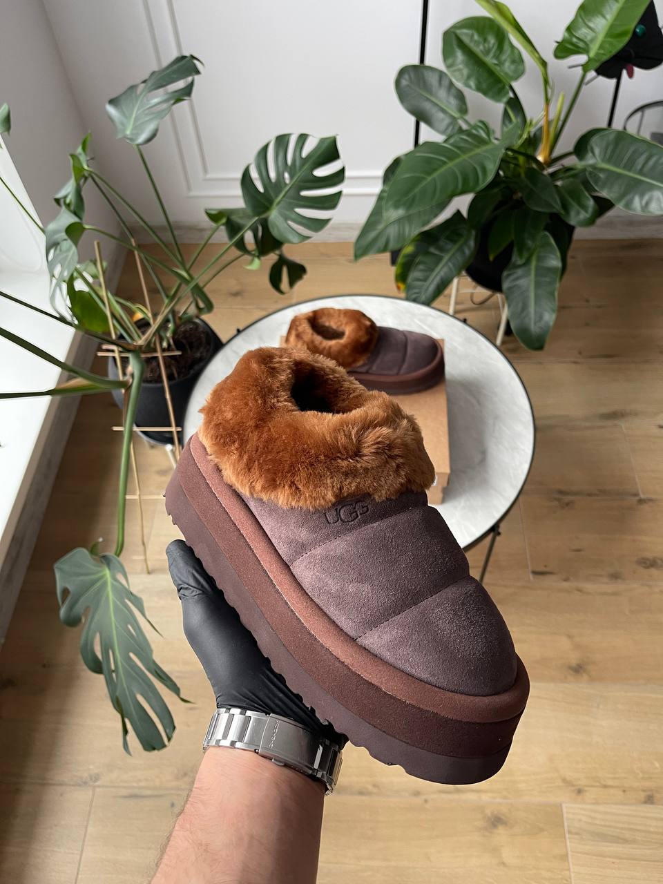 UGG Tazzlita Slipper Brown - oceanhype - 