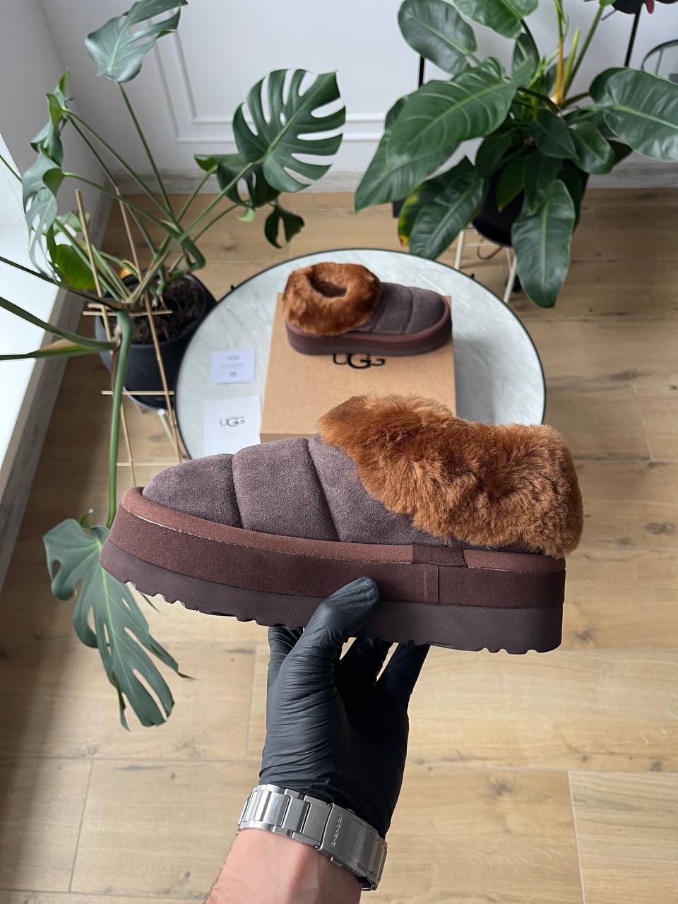 UGG Tazzlita Slipper Brown - oceanhype - 