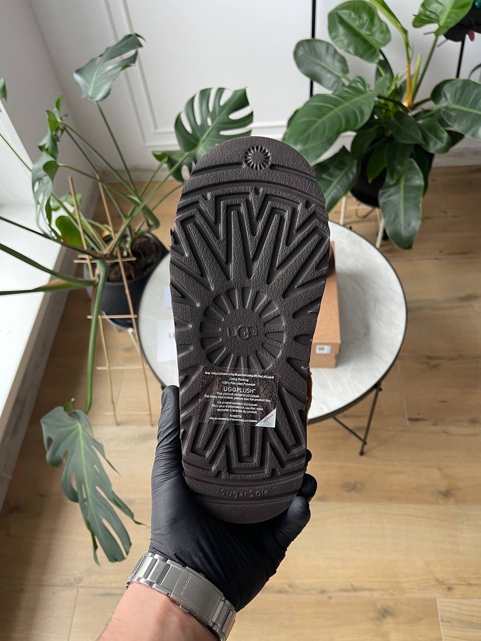 UGG Tazzlita Slipper Brown - oceanhype - 