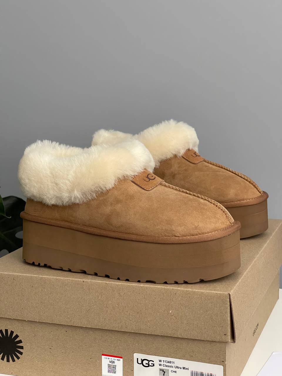 UGG Coquette Platform Chestnut - oceanhype - 
