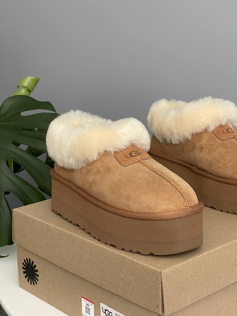 UGG Coquette Platform Chestnut - oceanhype - 