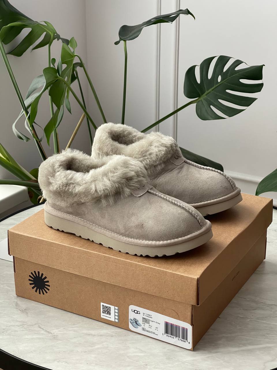 UGG Coquette Grey - oceanhype - 