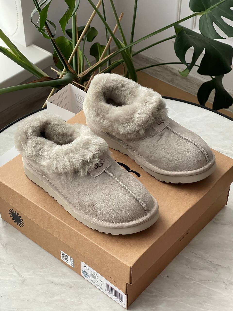 UGG Coquette Grey - oceanhype - 
