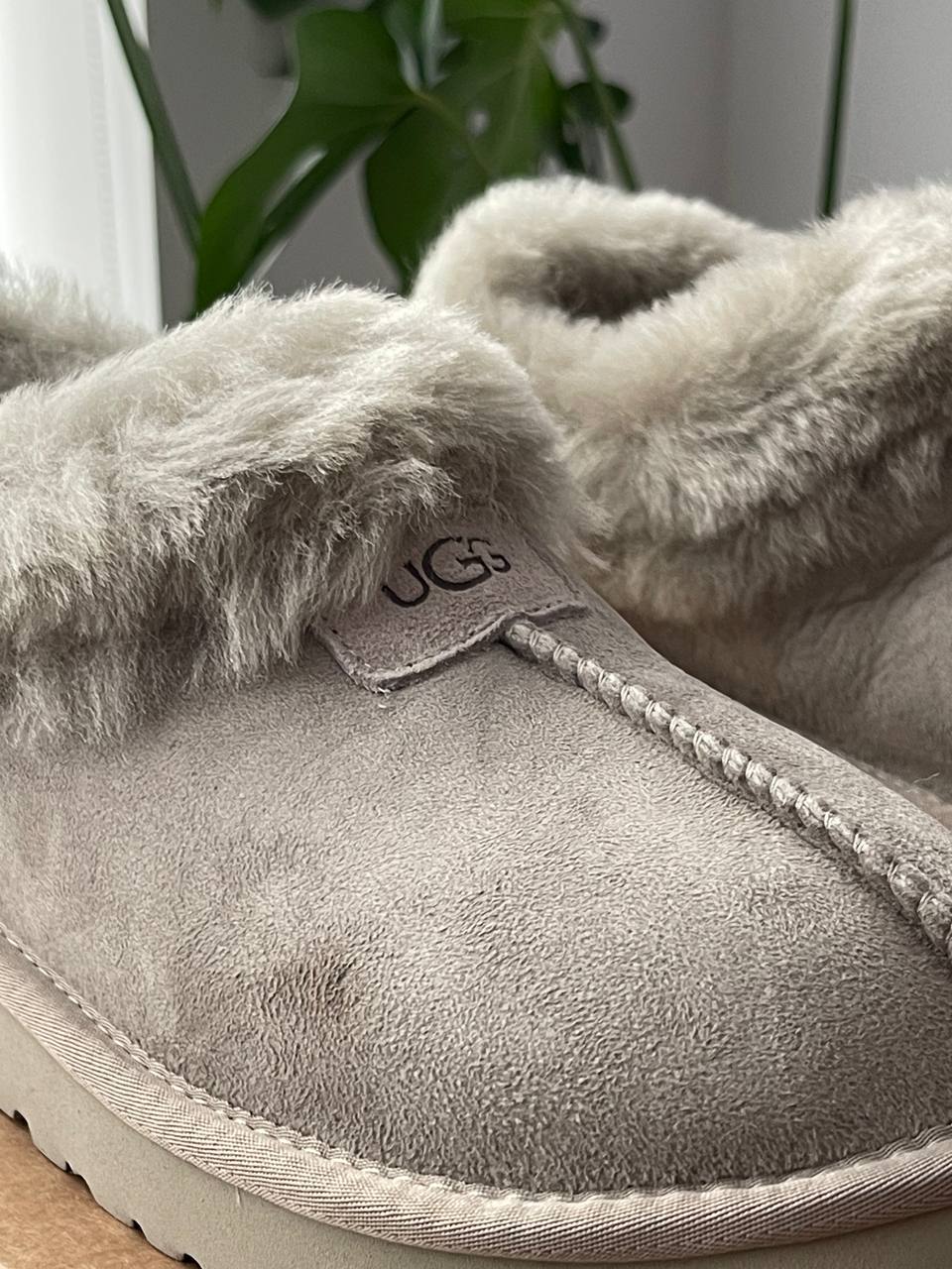 UGG Coquette Grey - oceanhype - 