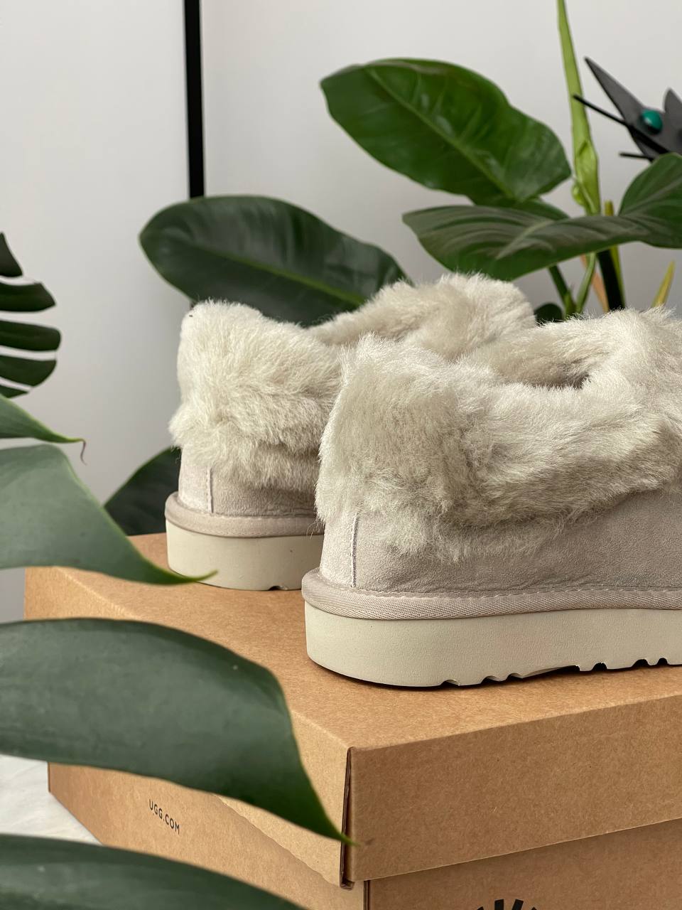 UGG Coquette Grey - oceanhype - 