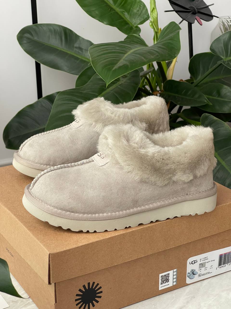 UGG Coquette Grey - oceanhype - 