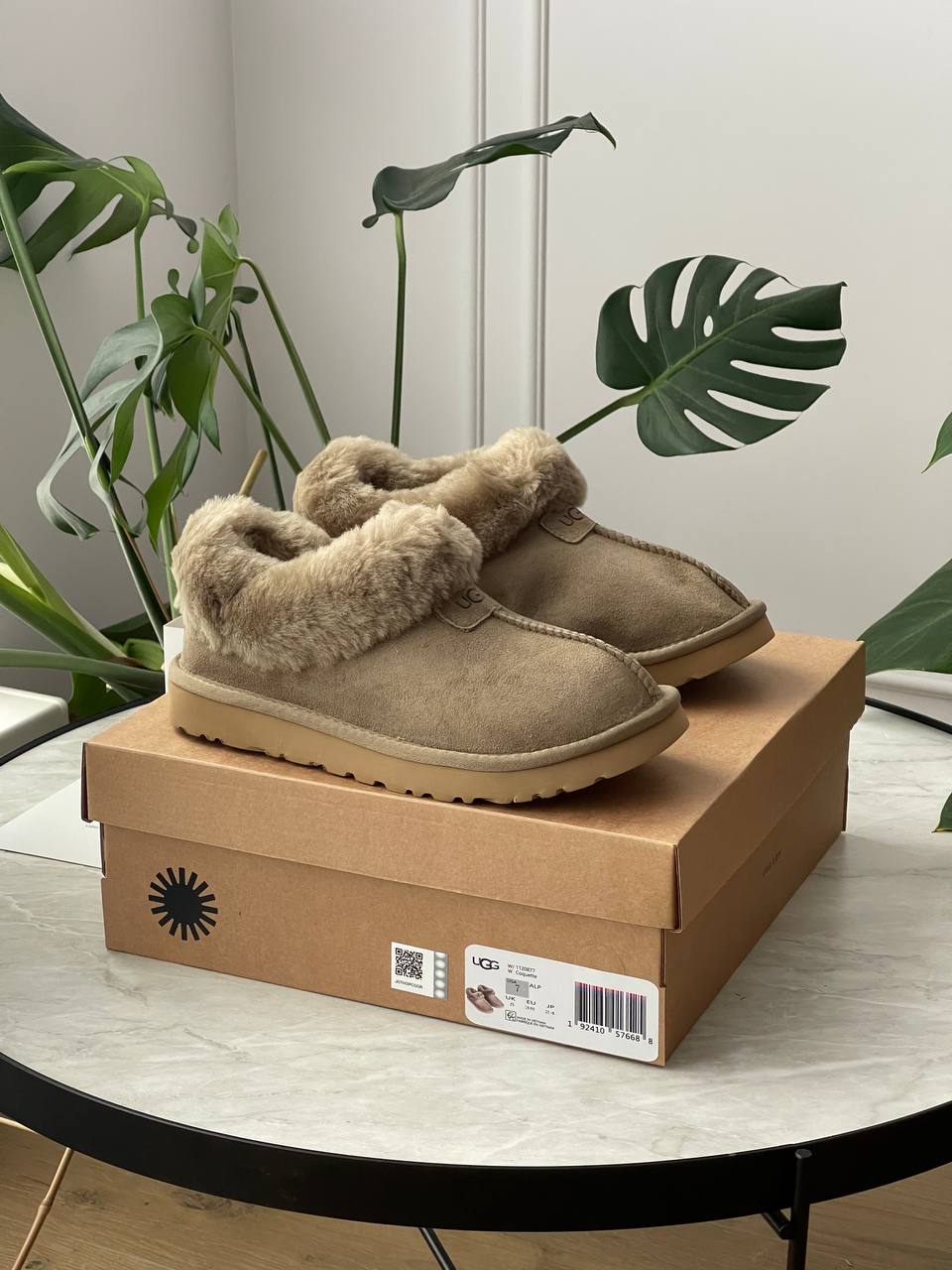 UGG Coquette Khaki - oceanhype - 