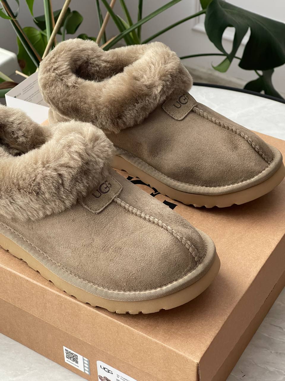 UGG Coquette Khaki - oceanhype - 