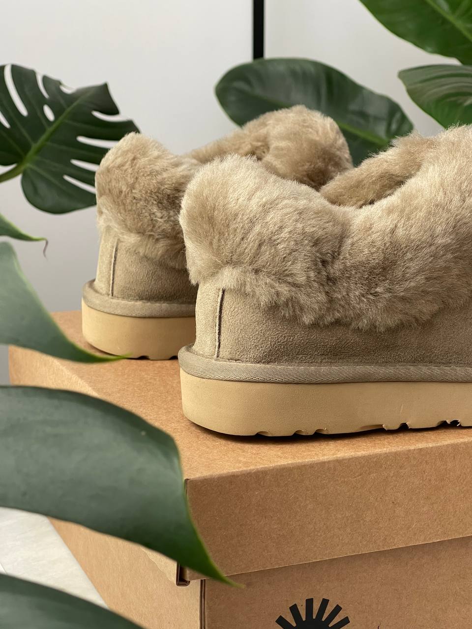 UGG Coquette Khaki - oceanhype - 