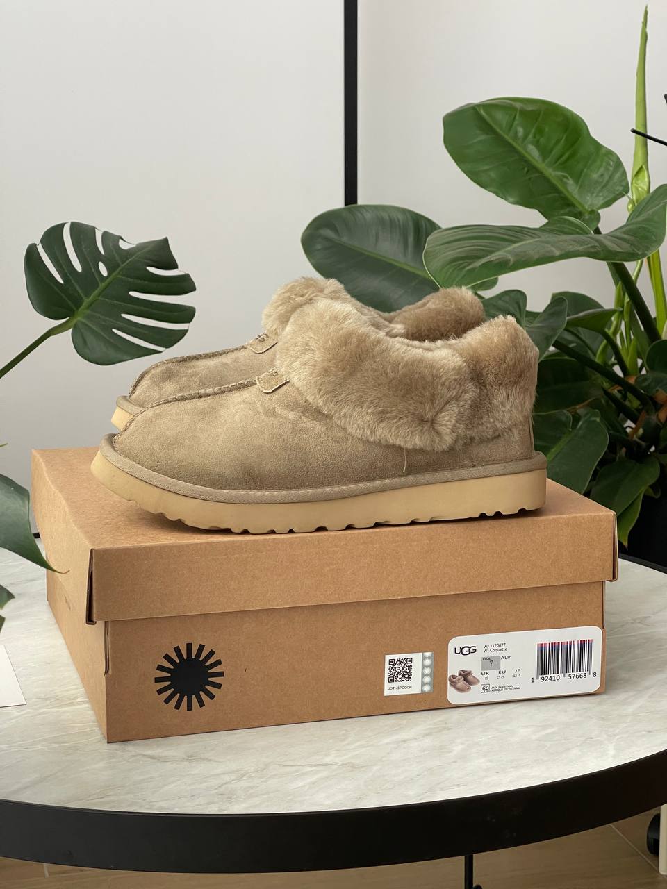 UGG Coquette Khaki - oceanhype - 